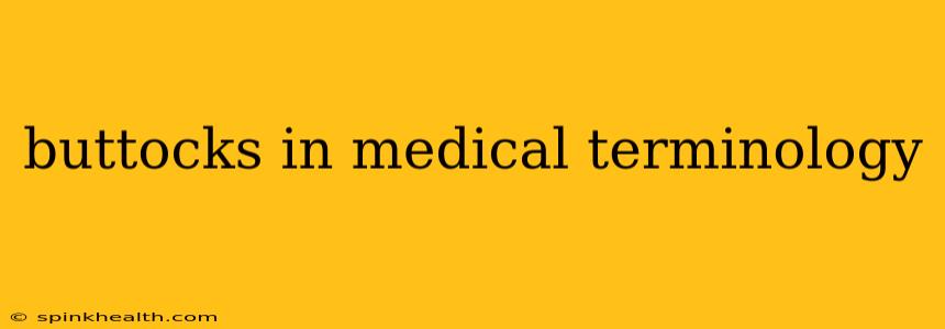 buttocks in medical terminology