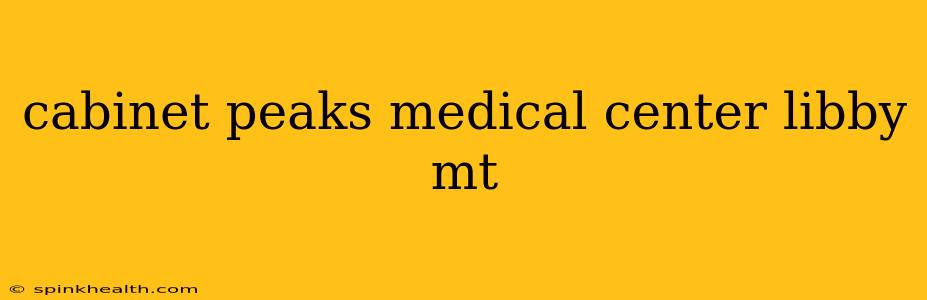 cabinet peaks medical center libby mt