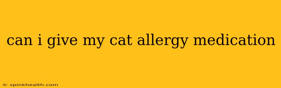 can i give my cat allergy medication