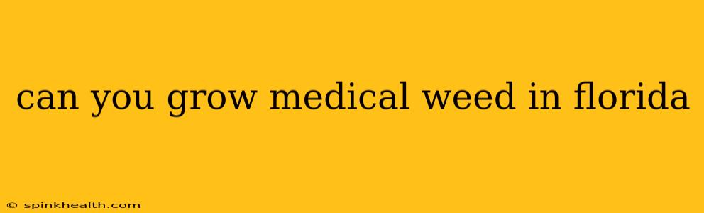 can you grow medical weed in florida