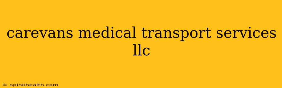 carevans medical transport services llc