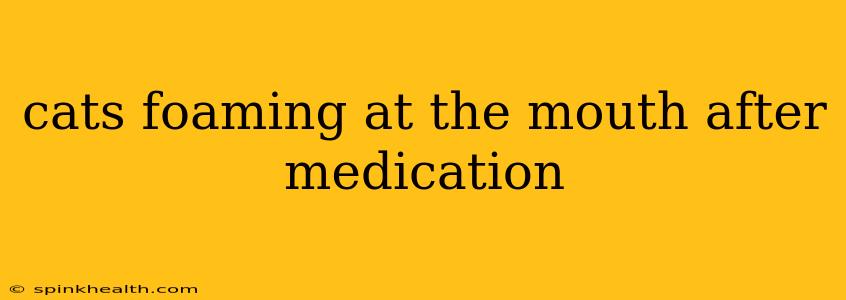 cats foaming at the mouth after medication