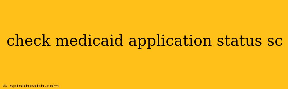 check medicaid application status sc