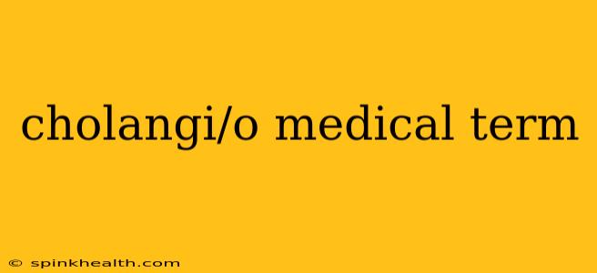 cholangi/o medical term
