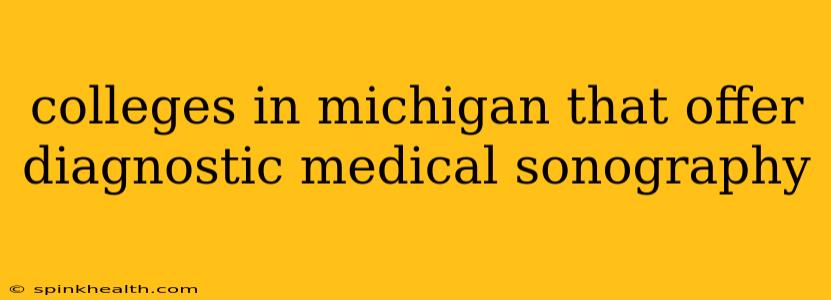 colleges in michigan that offer diagnostic medical sonography