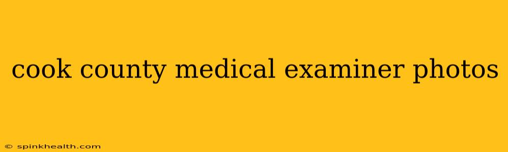 cook county medical examiner photos