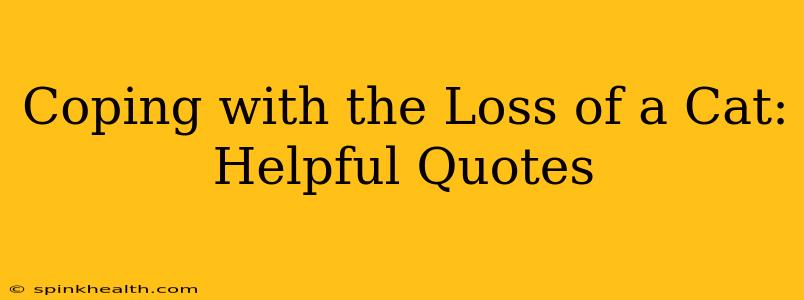 Coping with the Loss of a Cat: Helpful Quotes