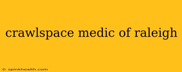 crawlspace medic of raleigh