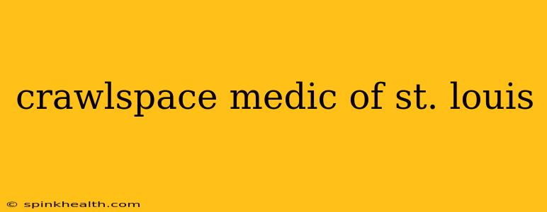 crawlspace medic of st. louis
