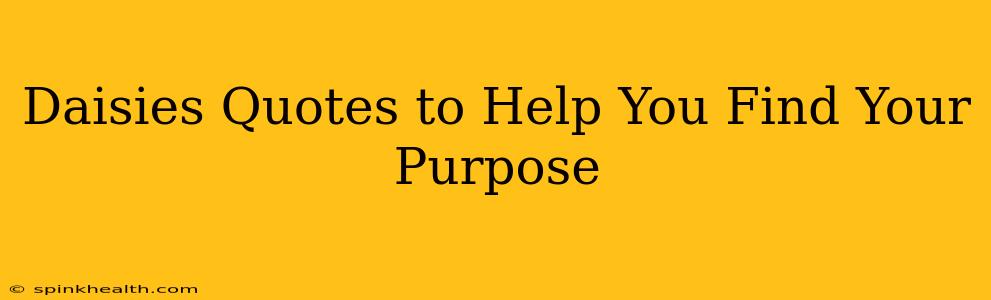 Daisies Quotes to Help You Find Your Purpose
