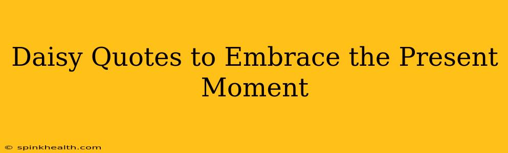 Daisy Quotes to Embrace the Present Moment