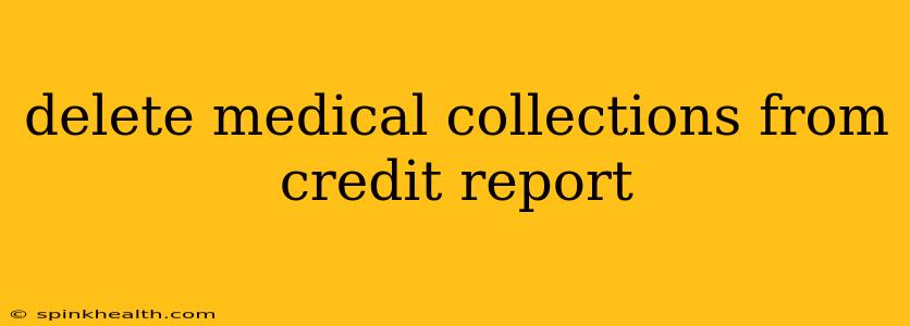 delete medical collections from credit report