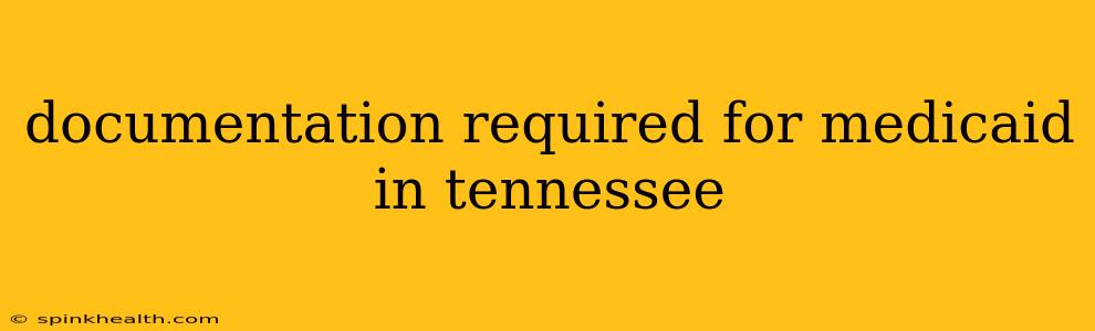 documentation required for medicaid in tennessee