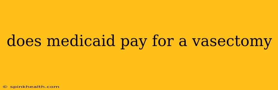 does medicaid pay for a vasectomy