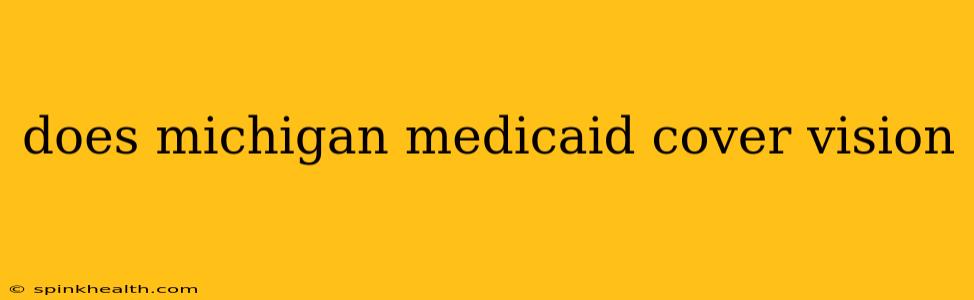 does michigan medicaid cover vision
