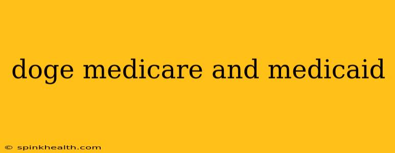 doge medicare and medicaid