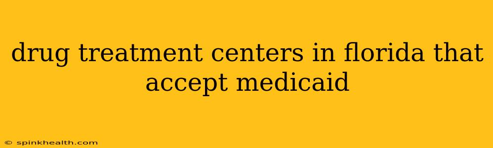 drug treatment centers in florida that accept medicaid