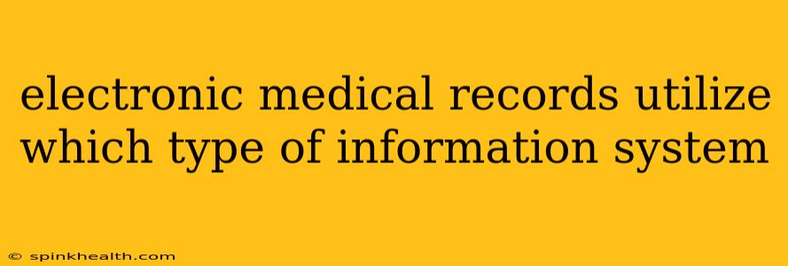 electronic medical records utilize which type of information system