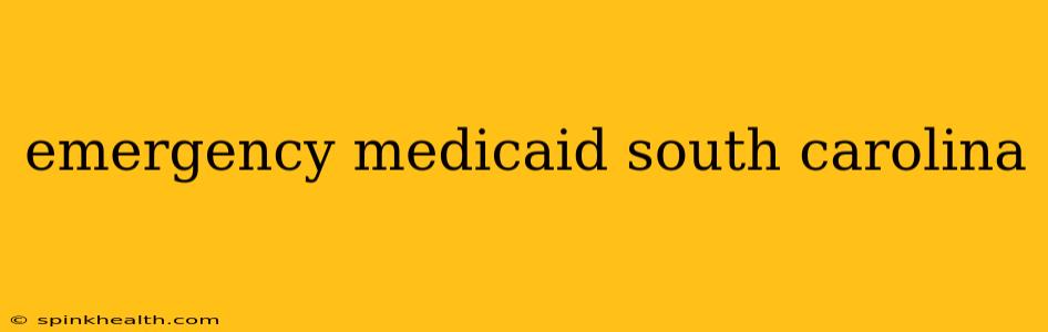 emergency medicaid south carolina