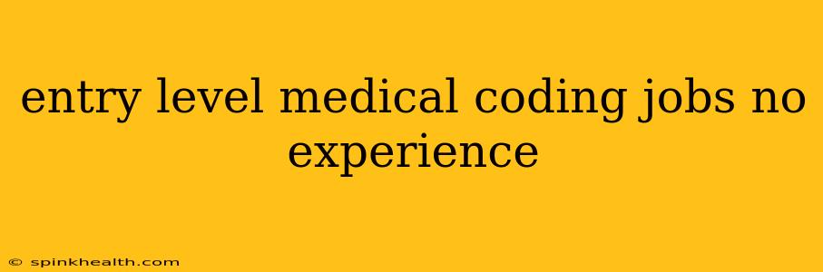 entry level medical coding jobs no experience