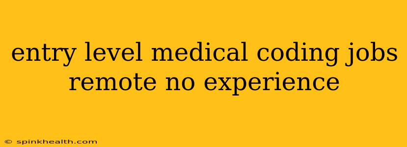 entry level medical coding jobs remote no experience