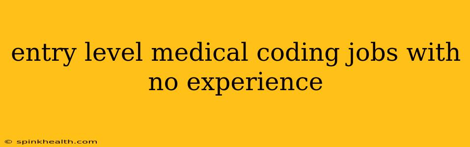 entry level medical coding jobs with no experience