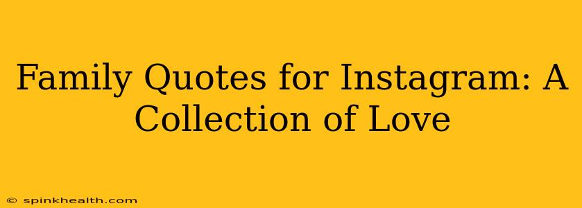 Family Quotes for Instagram: A Collection of Love