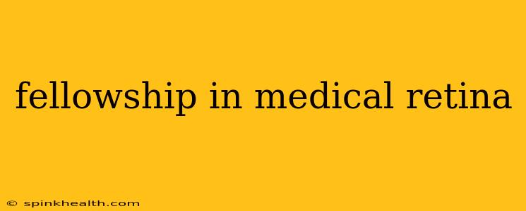 fellowship in medical retina