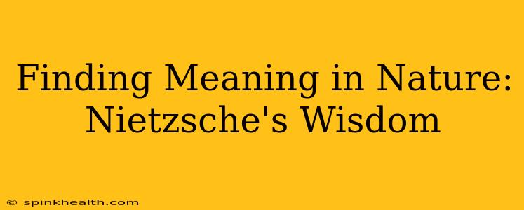 Finding Meaning in Nature: Nietzsche's Wisdom