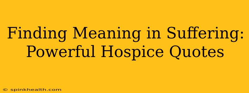 Finding Meaning in Suffering:  Powerful Hospice Quotes