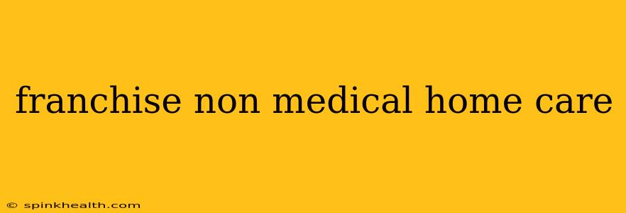 franchise non medical home care
