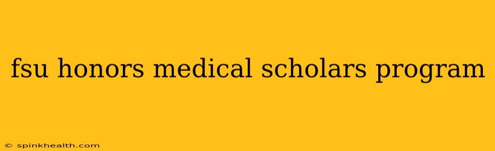 fsu honors medical scholars program