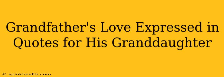 Grandfather's Love Expressed in Quotes for His Granddaughter