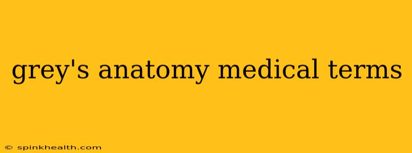 grey's anatomy medical terms