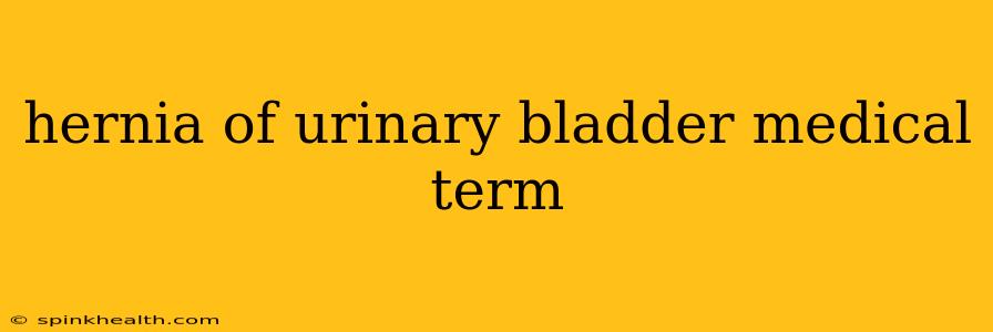 hernia of urinary bladder medical term