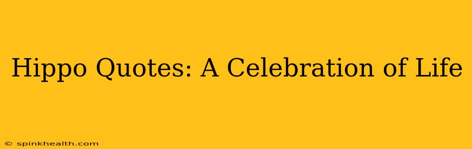 Hippo Quotes: A Celebration of Life