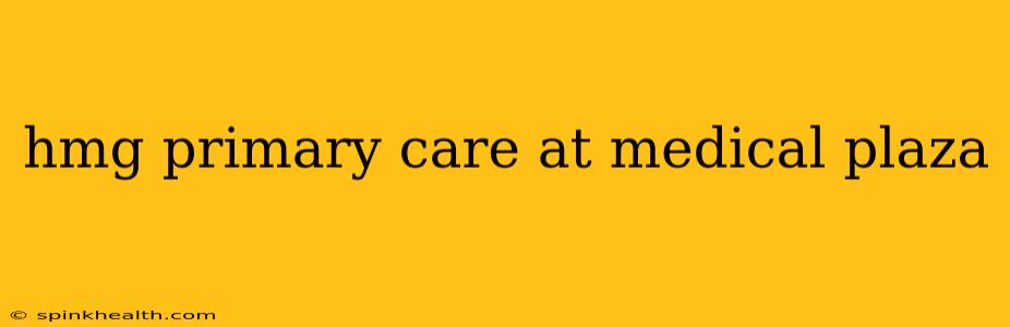 hmg primary care at medical plaza