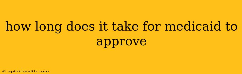 how long does it take for medicaid to approve