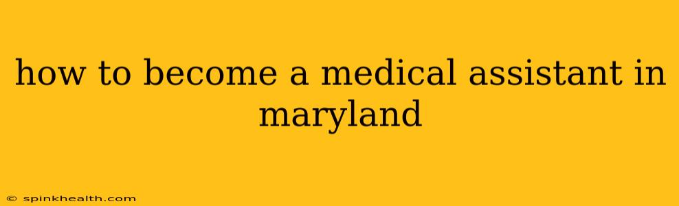 how to become a medical assistant in maryland