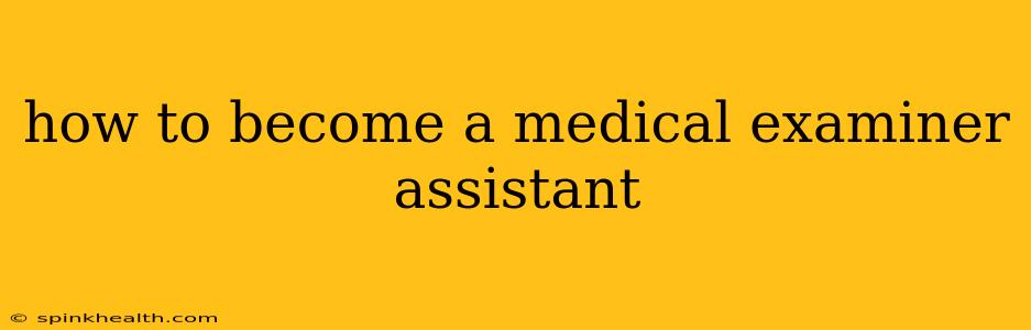 how to become a medical examiner assistant