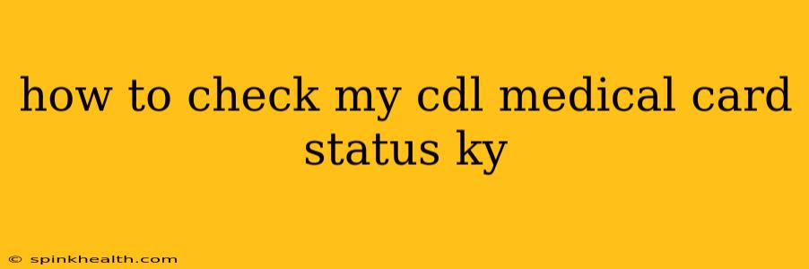 how to check my cdl medical card status ky