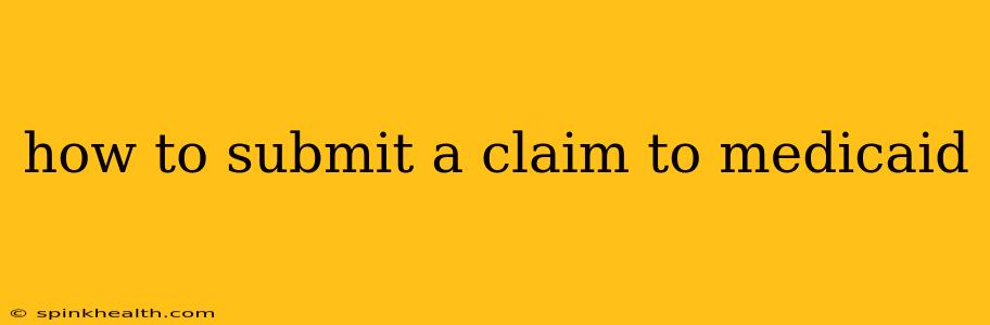 how to submit a claim to medicaid