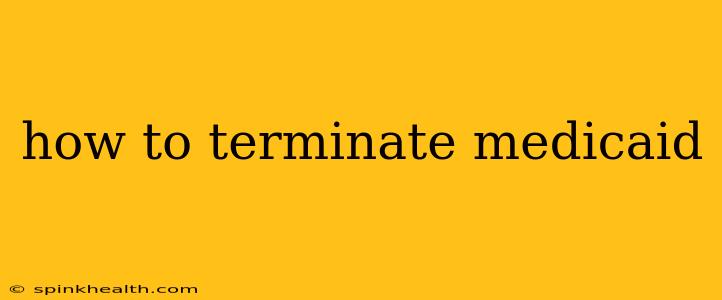 how to terminate medicaid