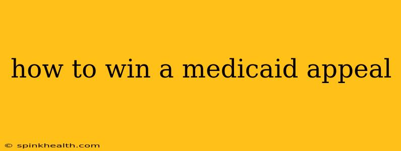 how to win a medicaid appeal