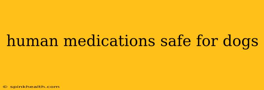 human medications safe for dogs