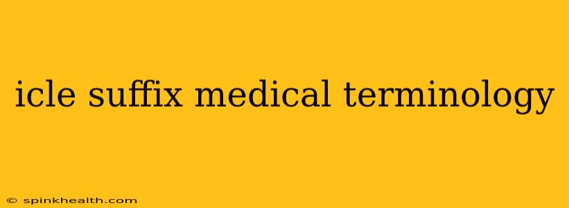 icle suffix medical terminology