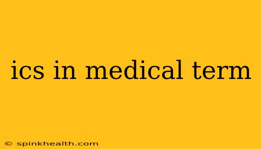 ics in medical term
