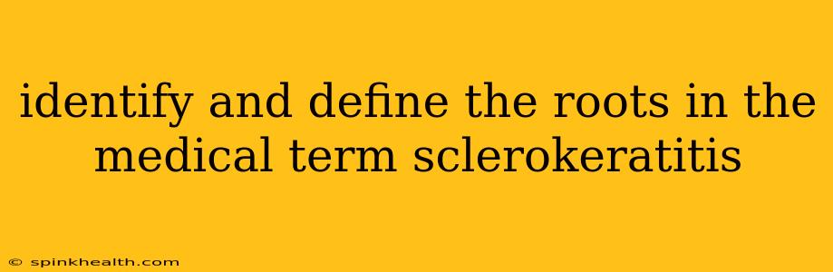 identify and define the roots in the medical term sclerokeratitis