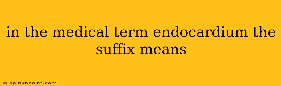 in the medical term endocardium the suffix means