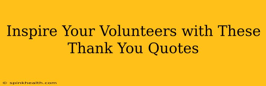 Inspire Your Volunteers with These Thank You Quotes